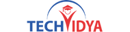 techvidya logo